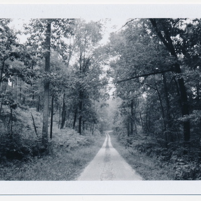 Cave Run Trail